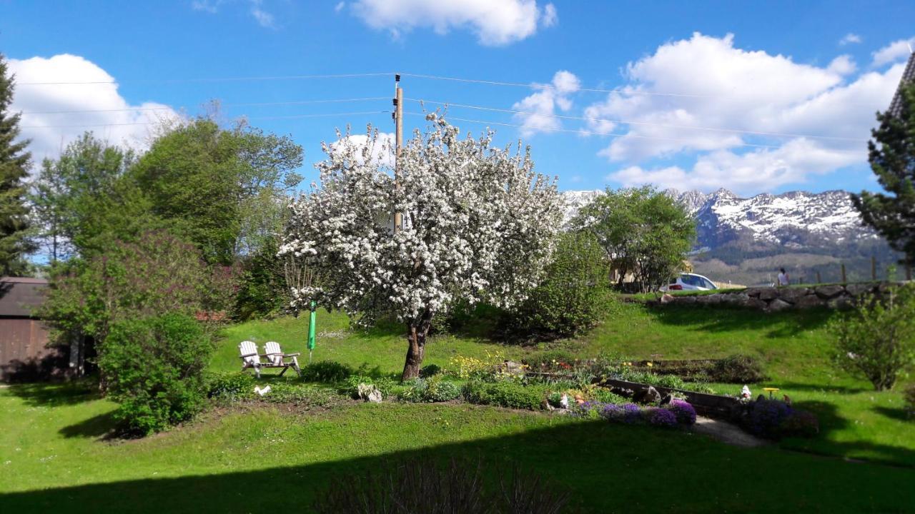 Haus Theresia Bad Mitterndorf